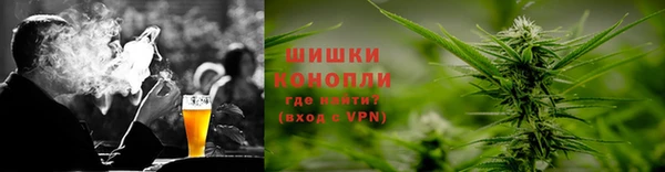 PSILOCYBIN Богородицк