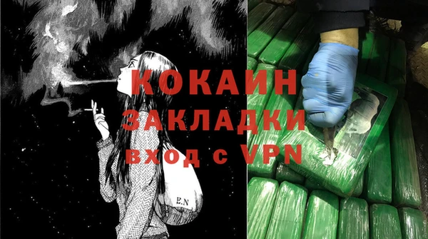 PSILOCYBIN Богородицк