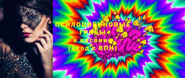 стафф Богородск