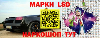 шишки Пенза