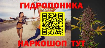 шишки Пенза